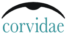 Corvidae - link to home page